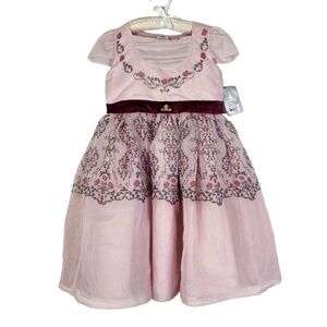NWD Disney Sleeping Beauty Aurora Pink Adaptive Princess Dress Sz. M